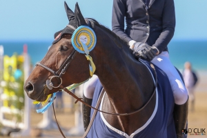 Jumping d'Erquy Plage - Remise des prix - Cheval